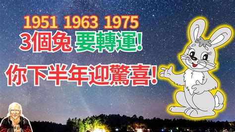 1963年屬兔|生肖兔: 性格，愛情，2024運勢，生肖1987，1999，2011